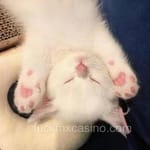 Avatar de Eugenio Perea